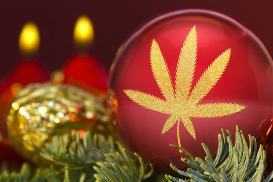 Hemp Gifts: The Best of The Season!
